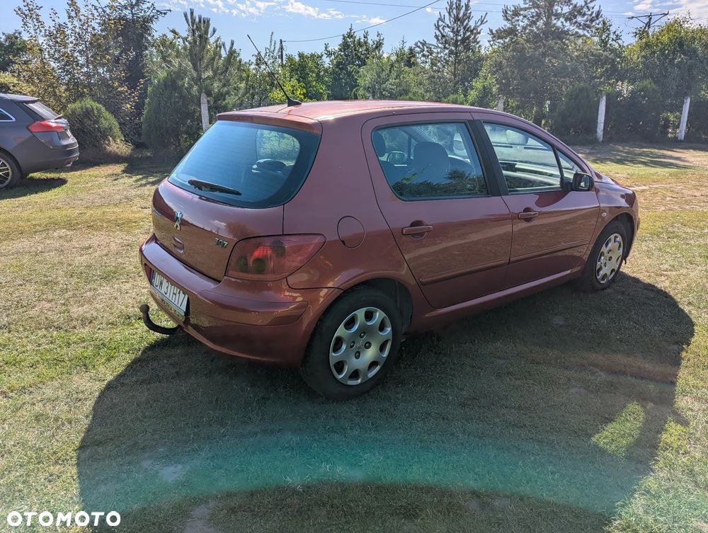Peugeot 307 1.6 - 8