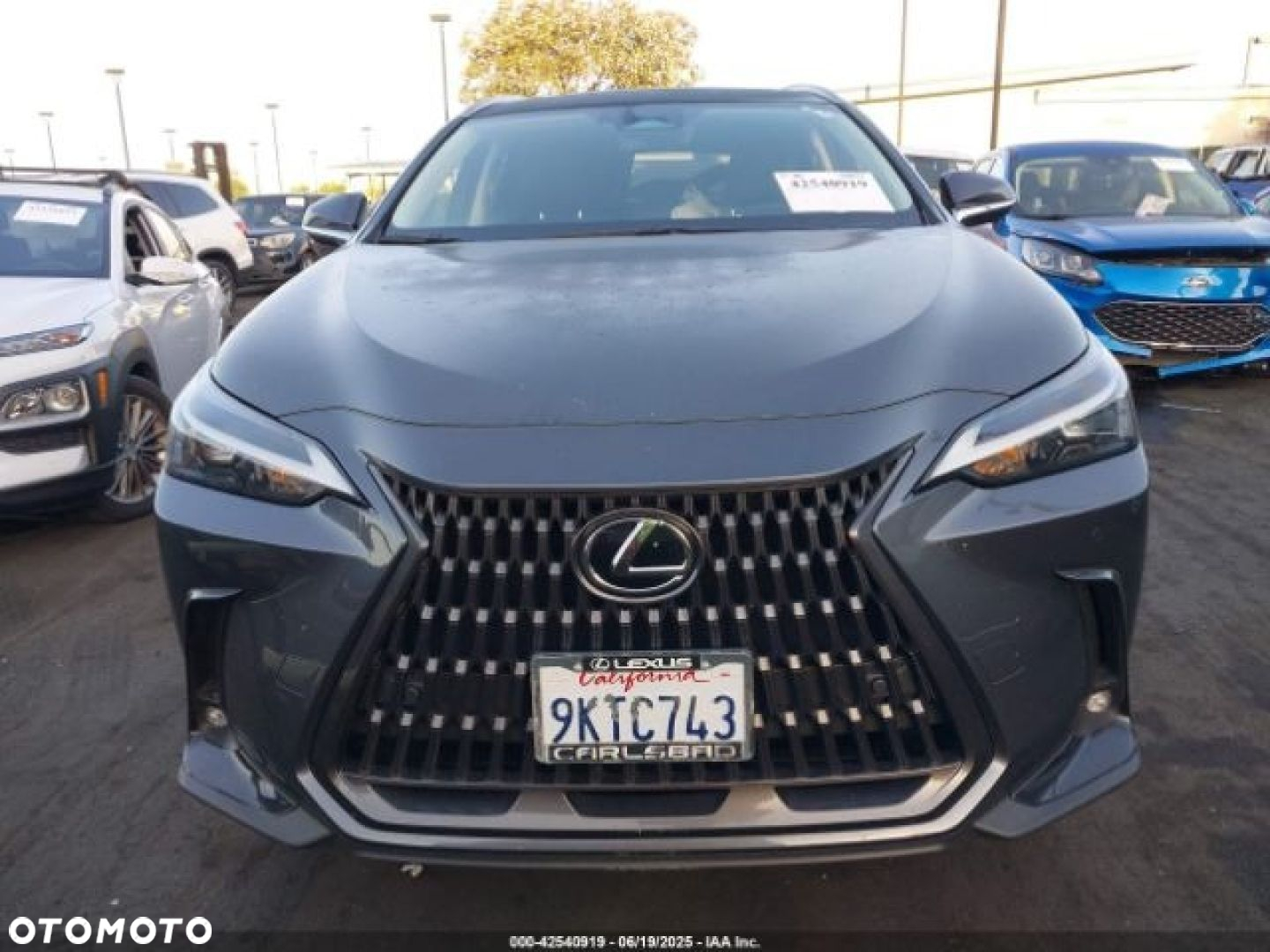 Lexus NX - 7