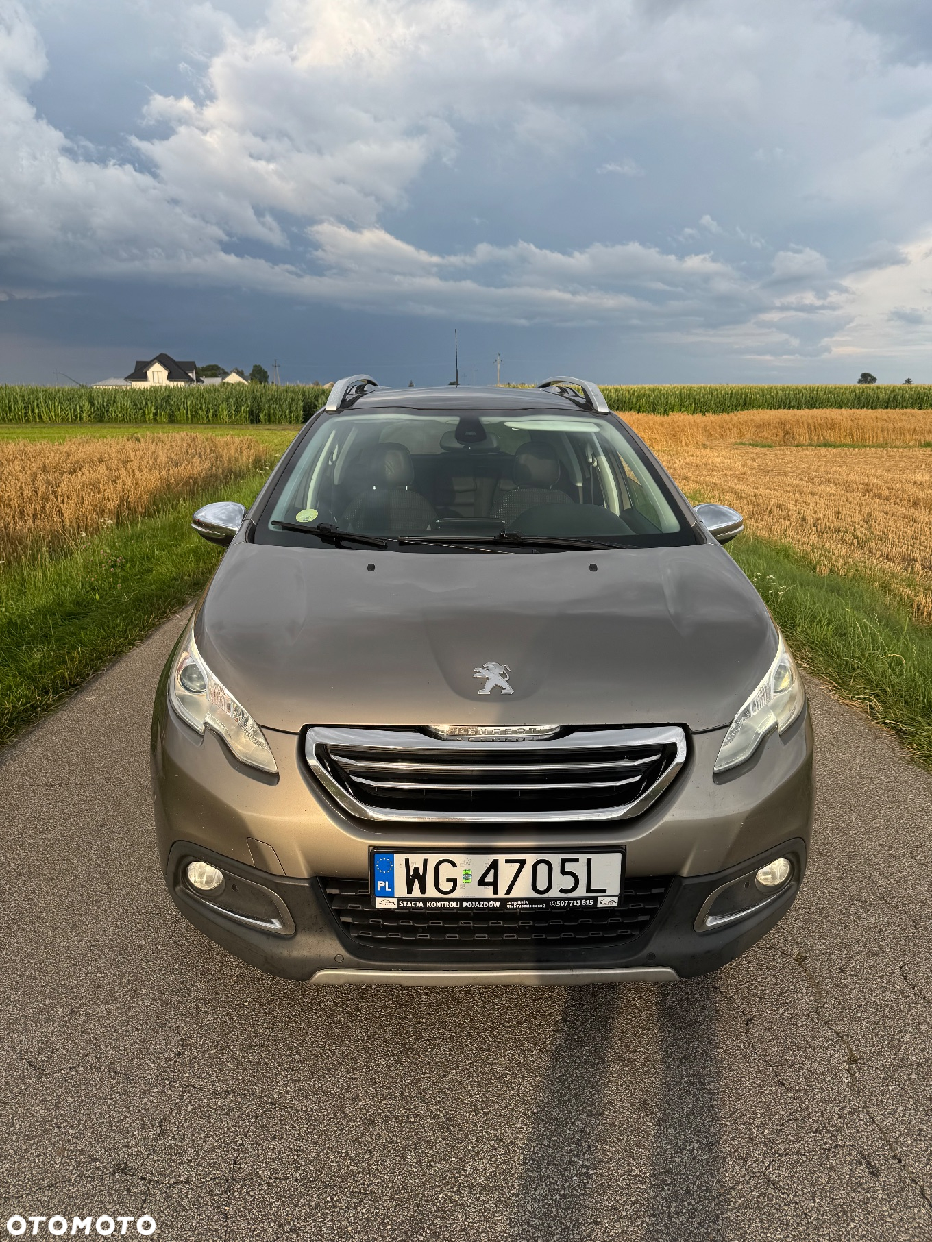 Peugeot 2008 - 5