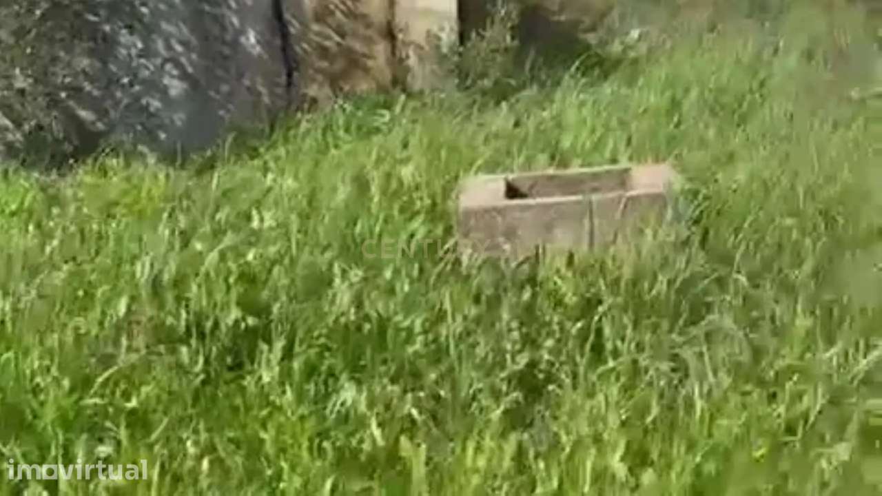 Moradia para Reconstrução, com Água, Natureza e bons acessos, em Crava - Grande imagem: 4/14