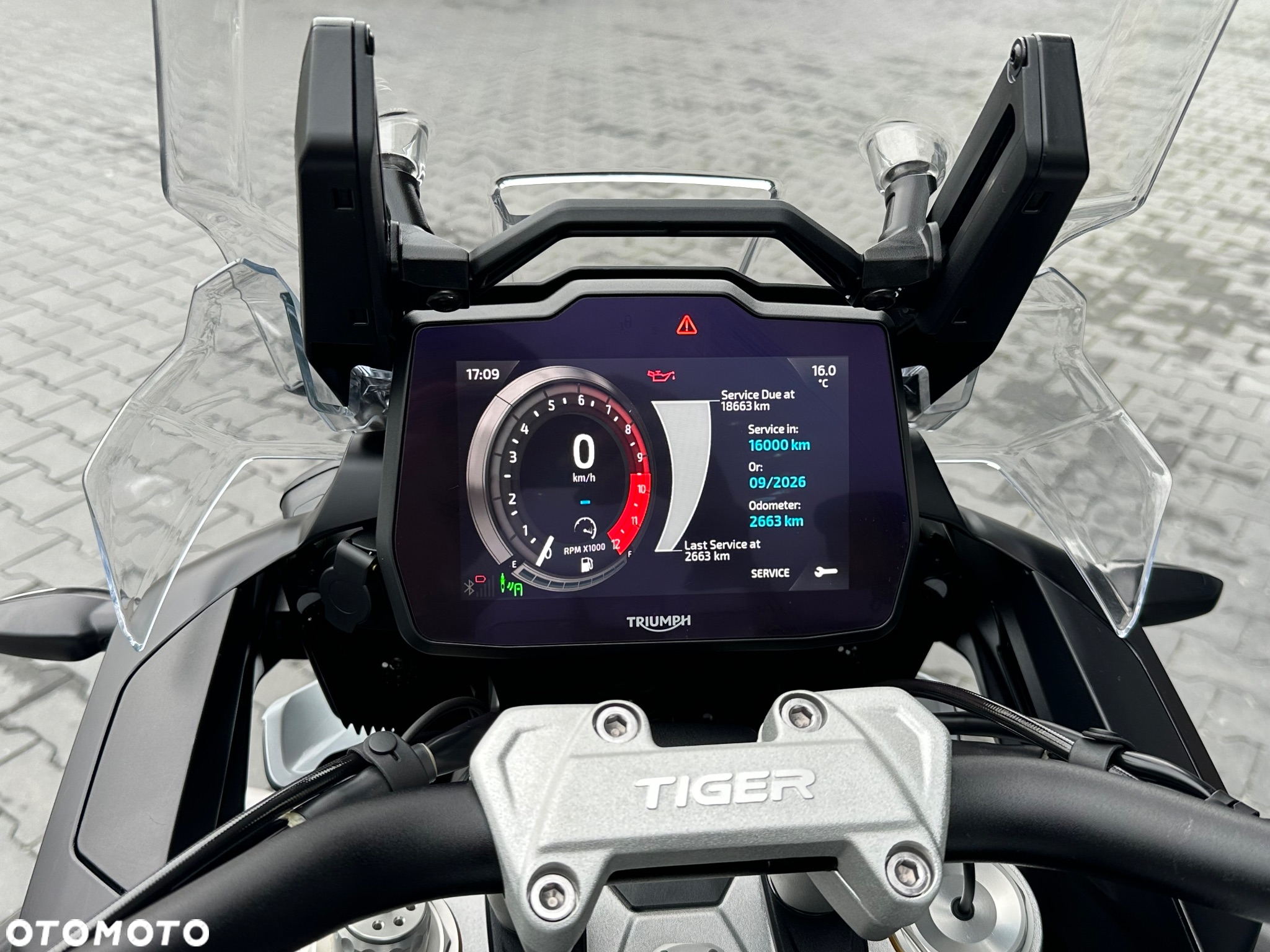 Triumph Tiger - 26
