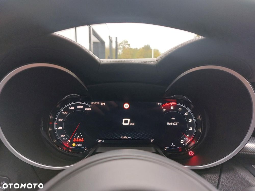 Alfa Romeo Stelvio 2.0 Turbo Veloce Q4 - 18