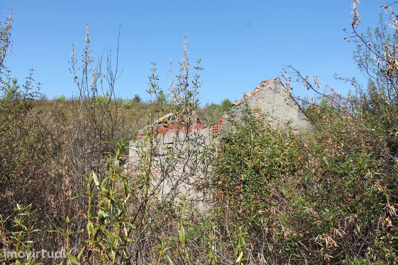 Terreno - Grande imagem: 5/12