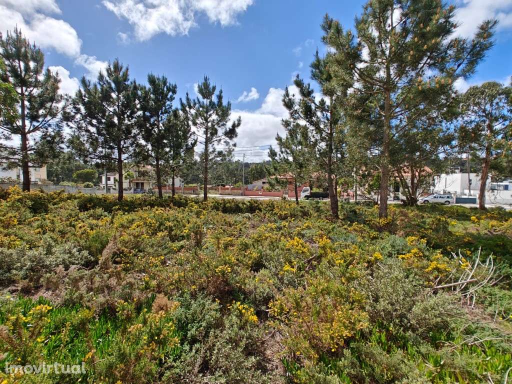 Lote para construção na Foz do Arelho - Grande imagem: 5/8