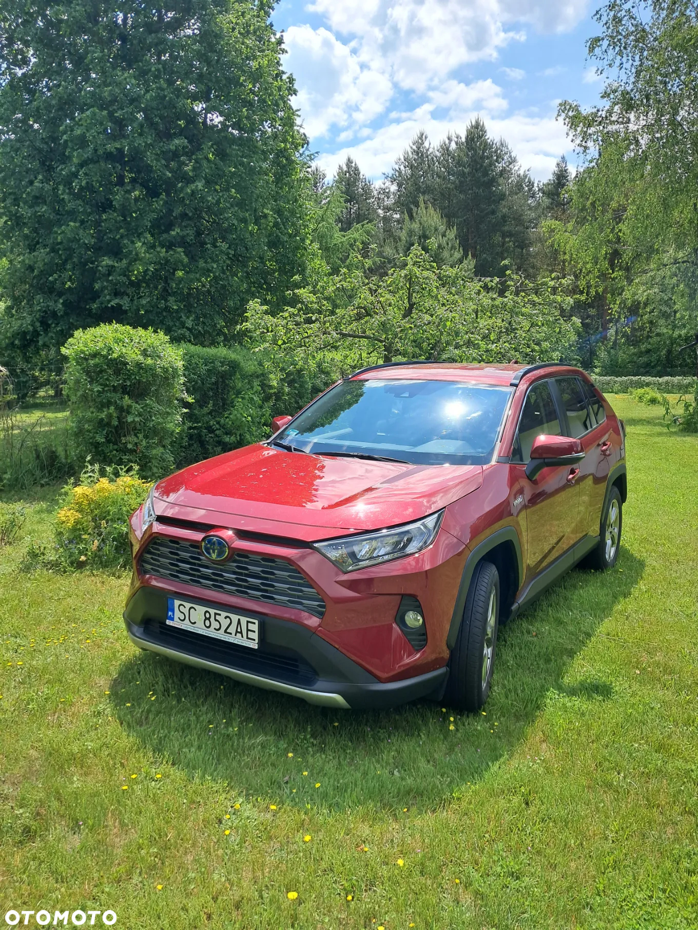 Toyota RAV4 2.5 Hybrid Comfort 4x4 - 20