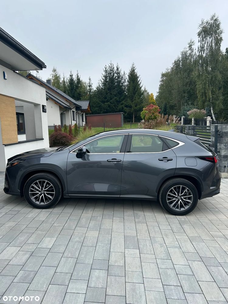 Lexus NX 350h Business AWD - 5