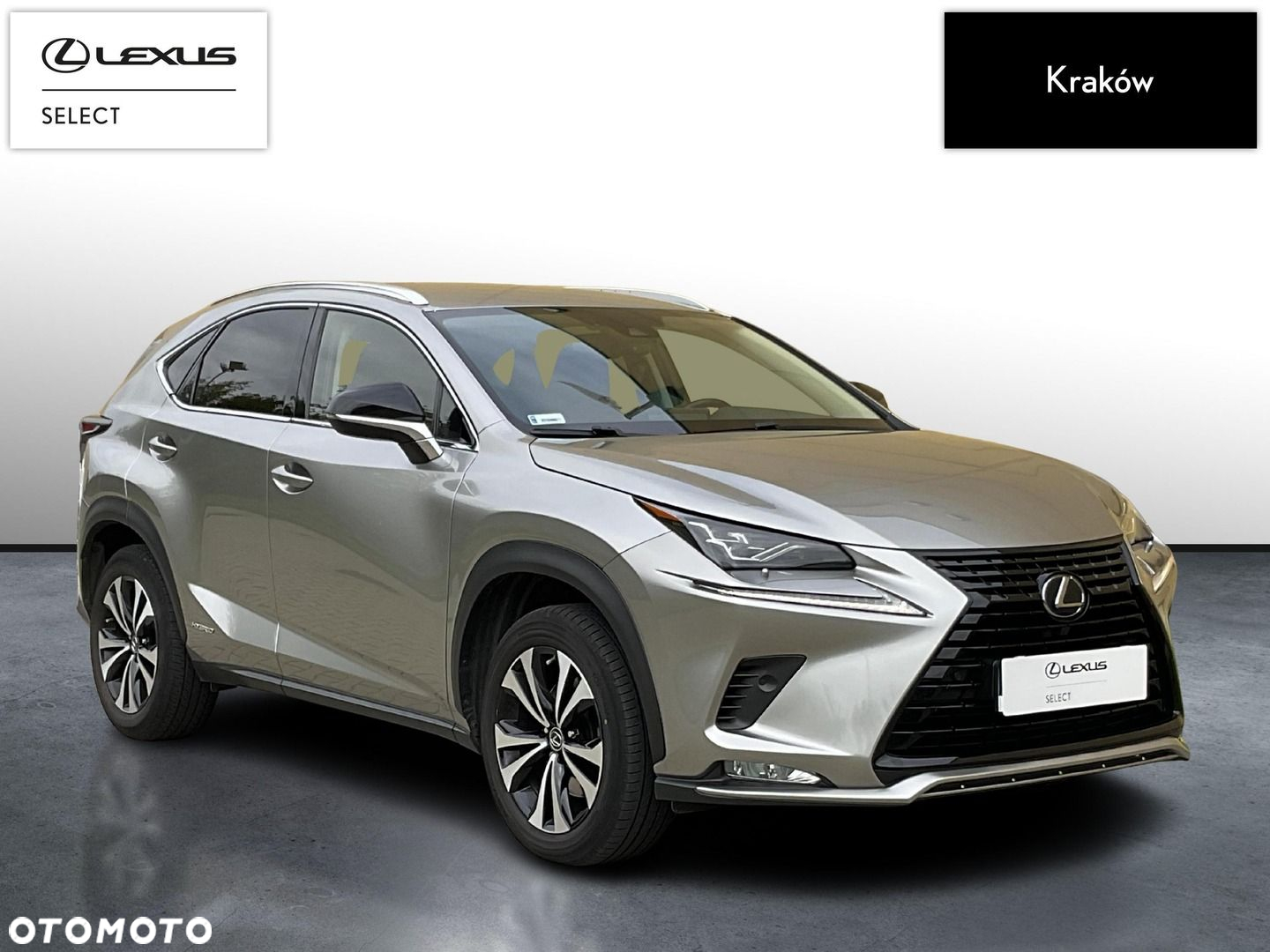 Lexus NX 300h F Impression AWD - 7
