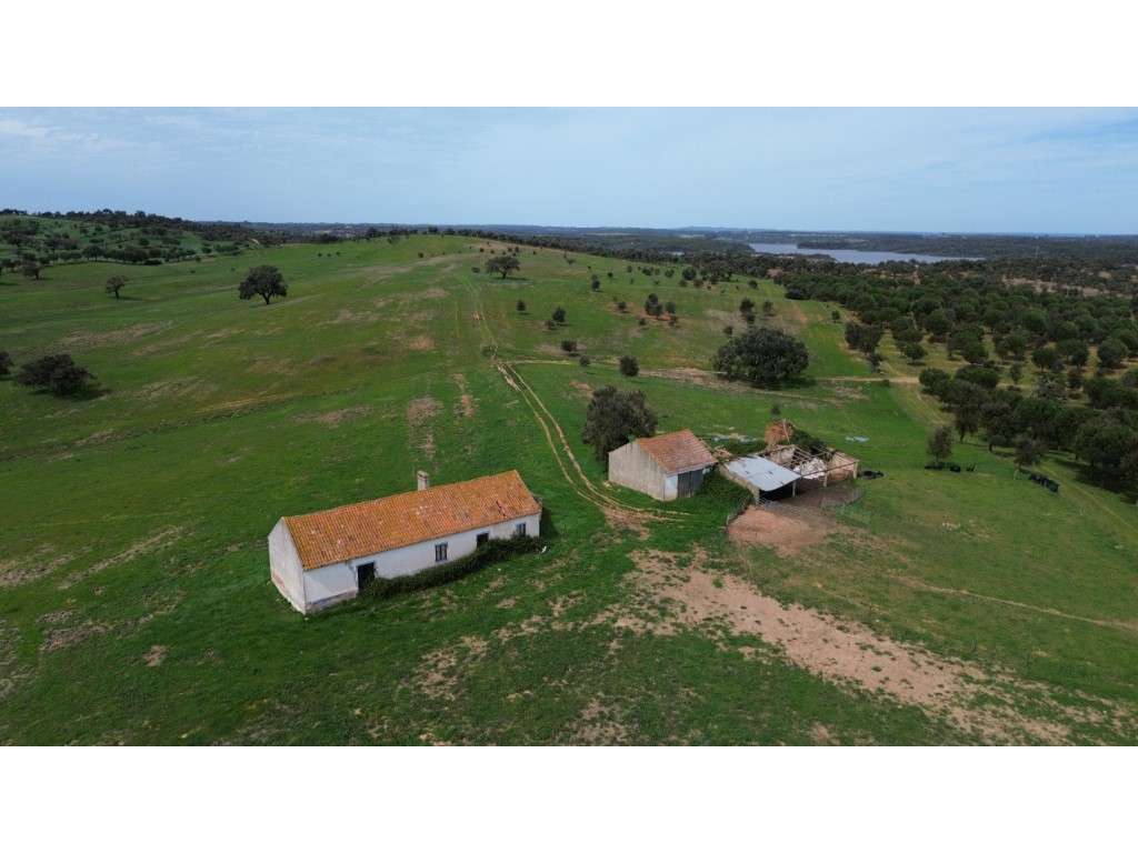 INVESTIMENTO: Herdade no Cercal junto a Barragem - Grande imagem: 5/29