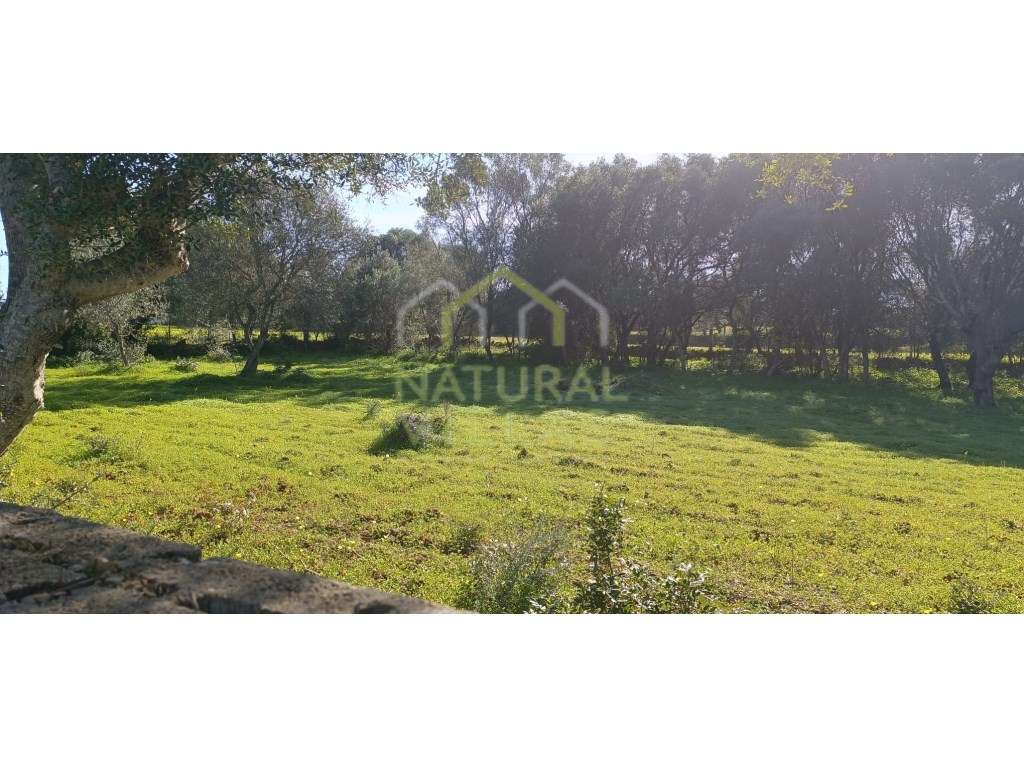 Terreno Rústico Plano em Quelfes, Olhão - Grande imagem: 3/5