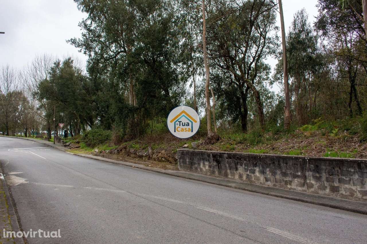 Terreno para Construção – 4000m2 em Lourosa - Grande imagem: 2/14