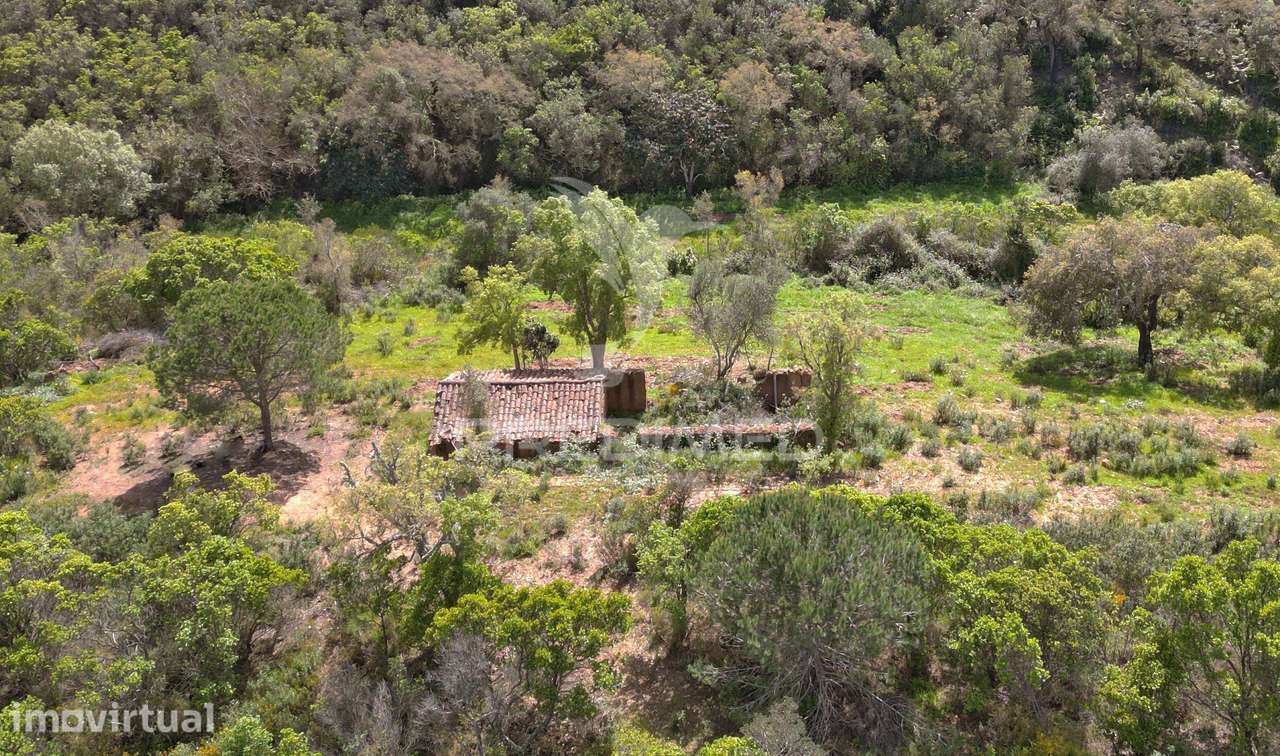 Propriedade com 20,8750 ha a 18 Km da Zambujeira do Mar - Grande imagem: 5/28