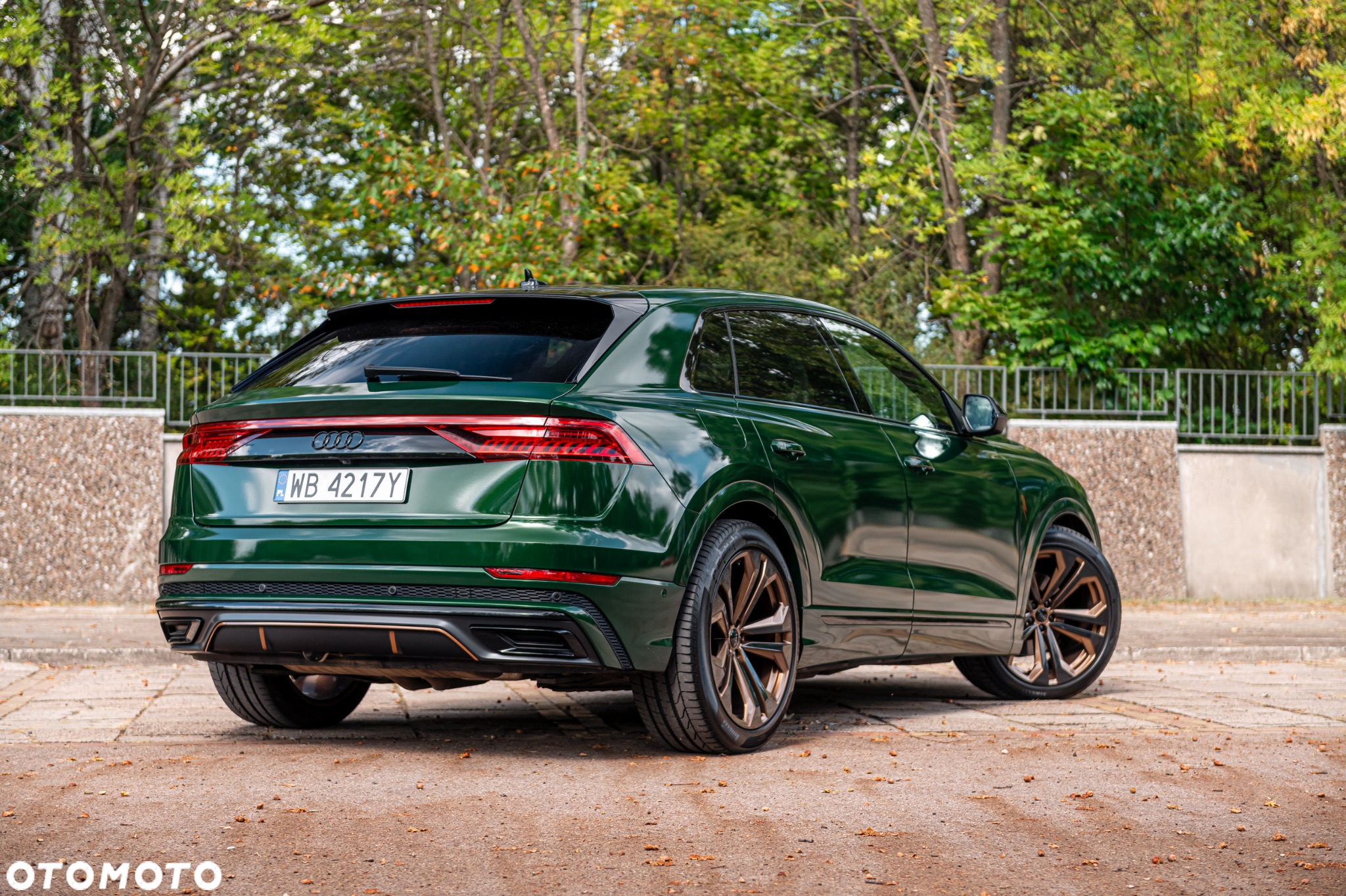 Audi Q8 - 6