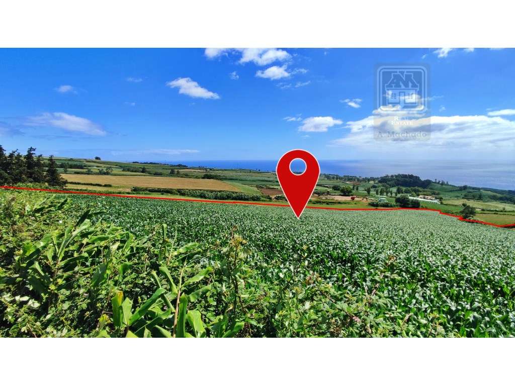 VENDA de AMPLO TERRENO - Santa Cruz, Lagoa (Açores), Ilha de São Mi... - Grande imagem: 2/36