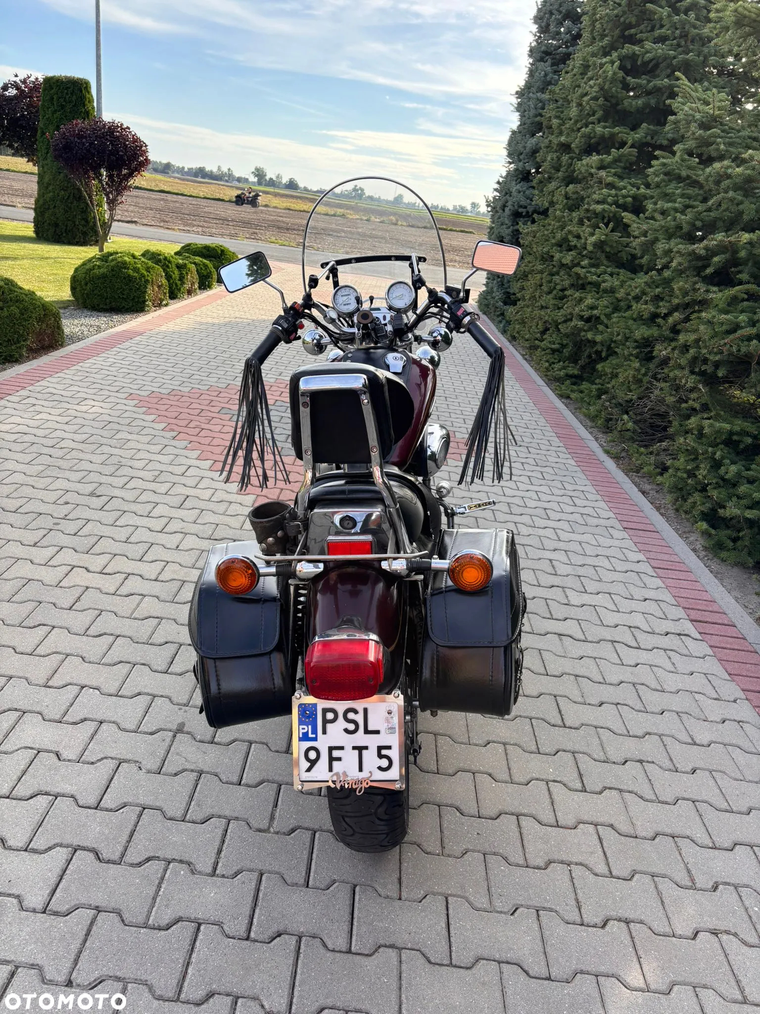 Yamaha Virago - 10