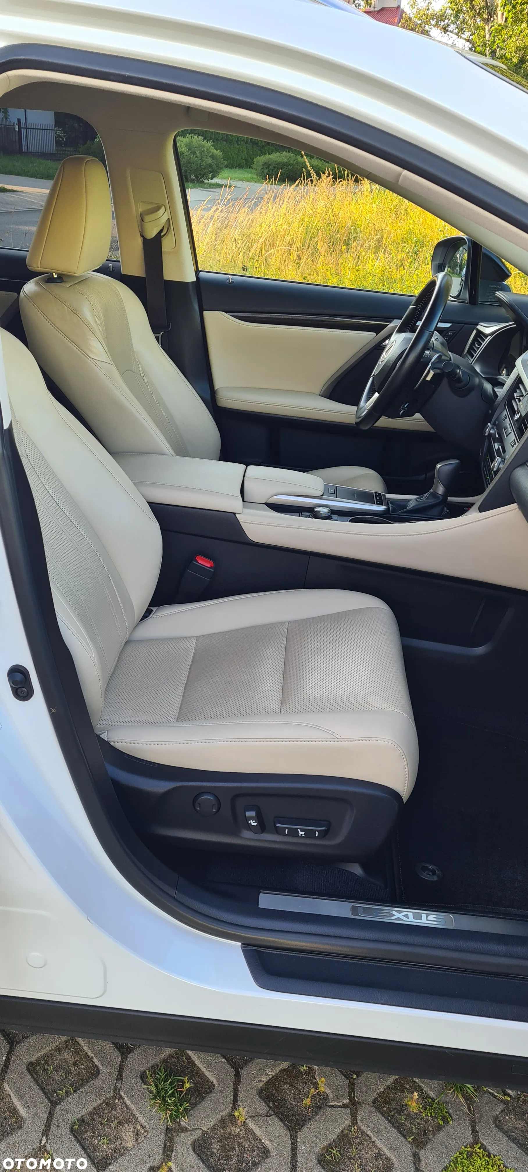 Lexus RX 450h F-Impression - 18