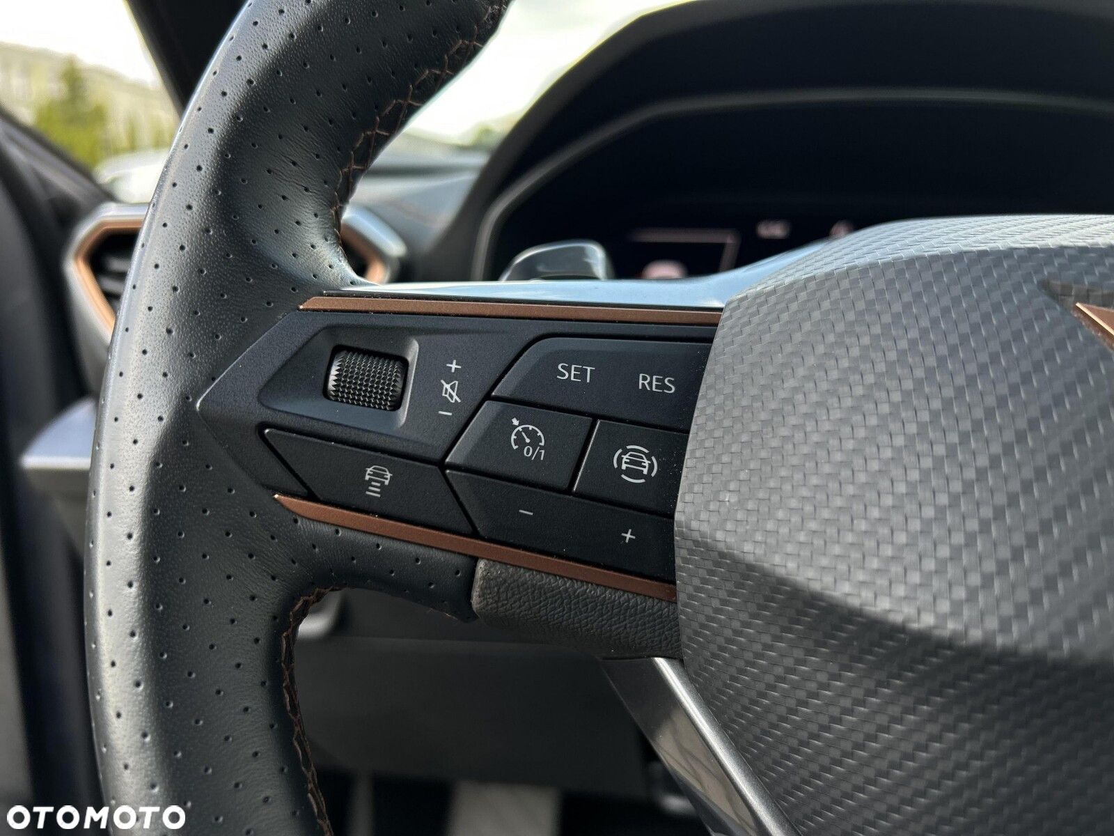 Cupra Formentor 1.5 TSI DSG - 19