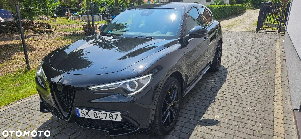 Alfa Romeo Stelvio 2.0 Turbo Veloce Q4 - 2