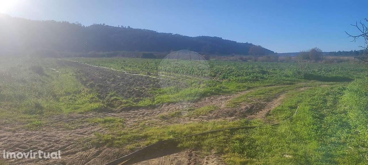 Terreno  para venda - Grande imagem: 3/5