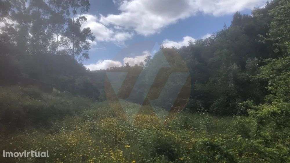 Quintinha Monchique - Grande imagem: 3/13