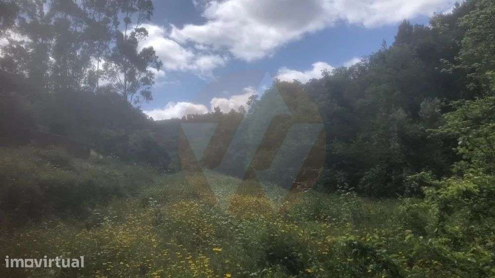 Quintinha Monchique - Grande imagem: 3/13