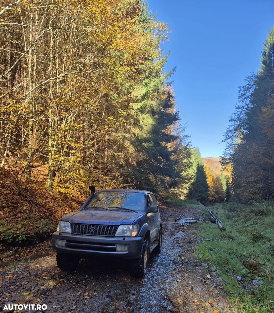 Toyota Land Cruiser - 12