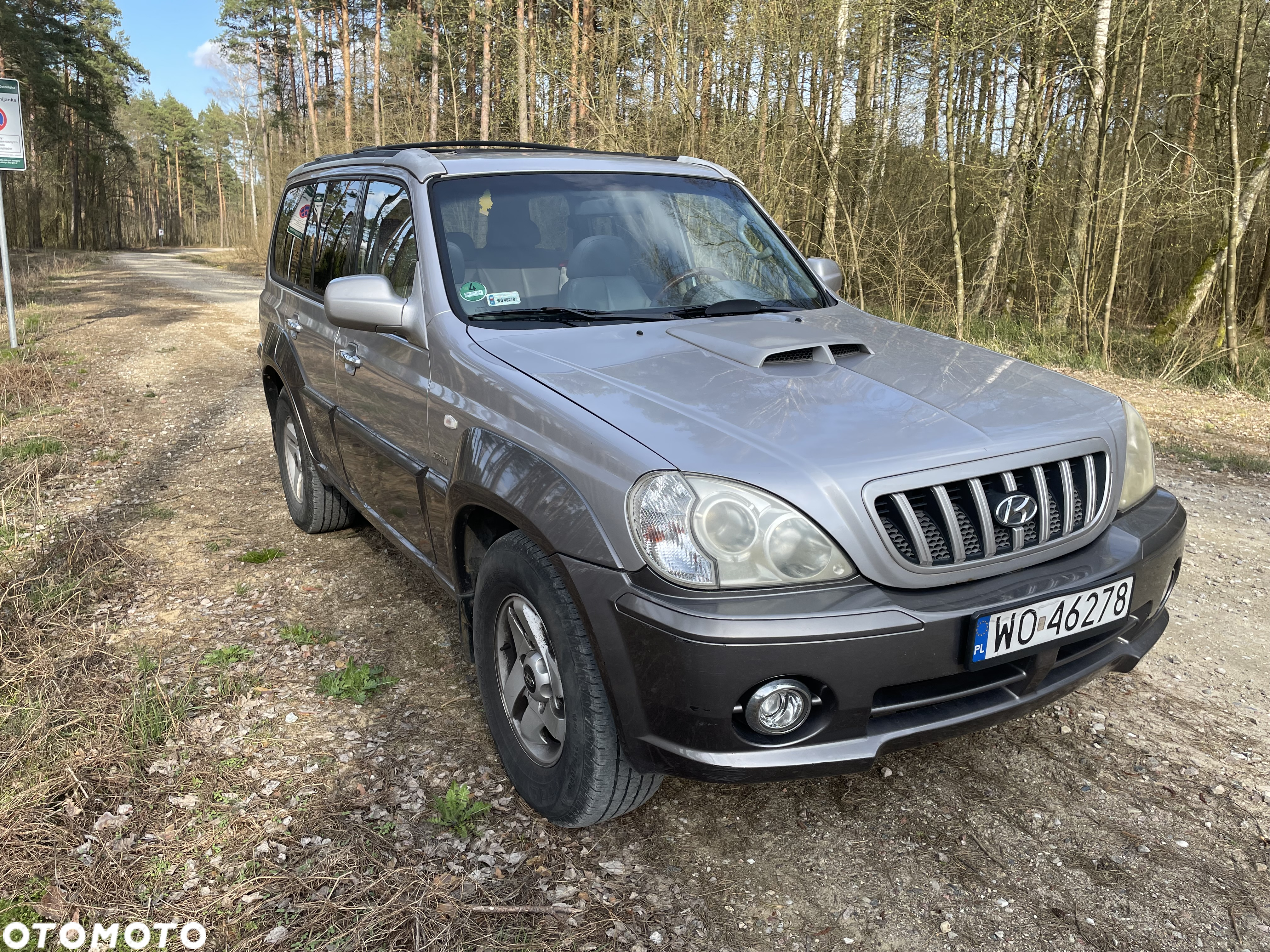 Hyundai Terracan 2.9 CRDi GL - 2