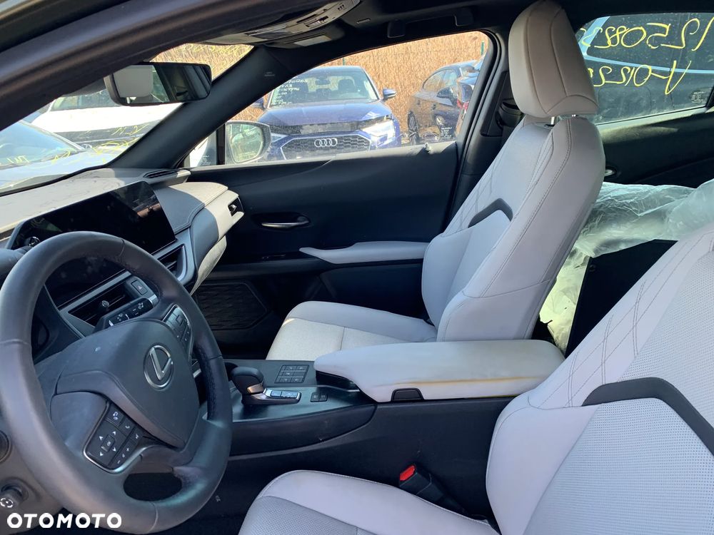 Lexus UX 300h F Sport AWD - 10