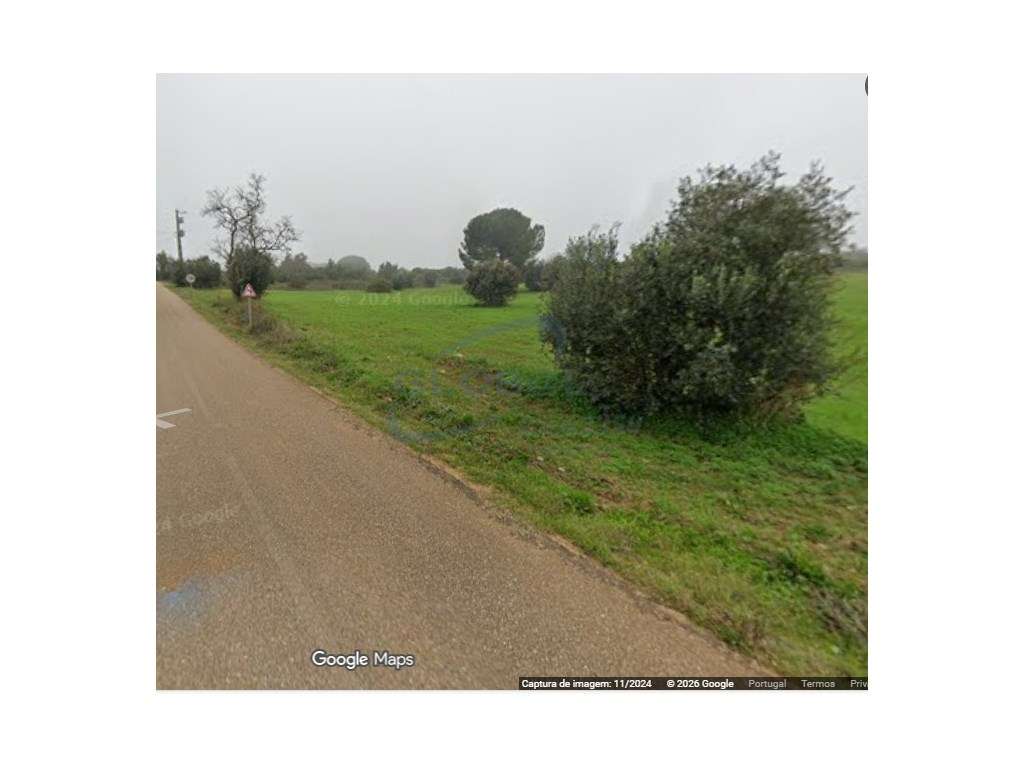 Terreno Rústico com 1,9 ha em Arieiro - Almoster- Santarém - Grande imagem: 2/4