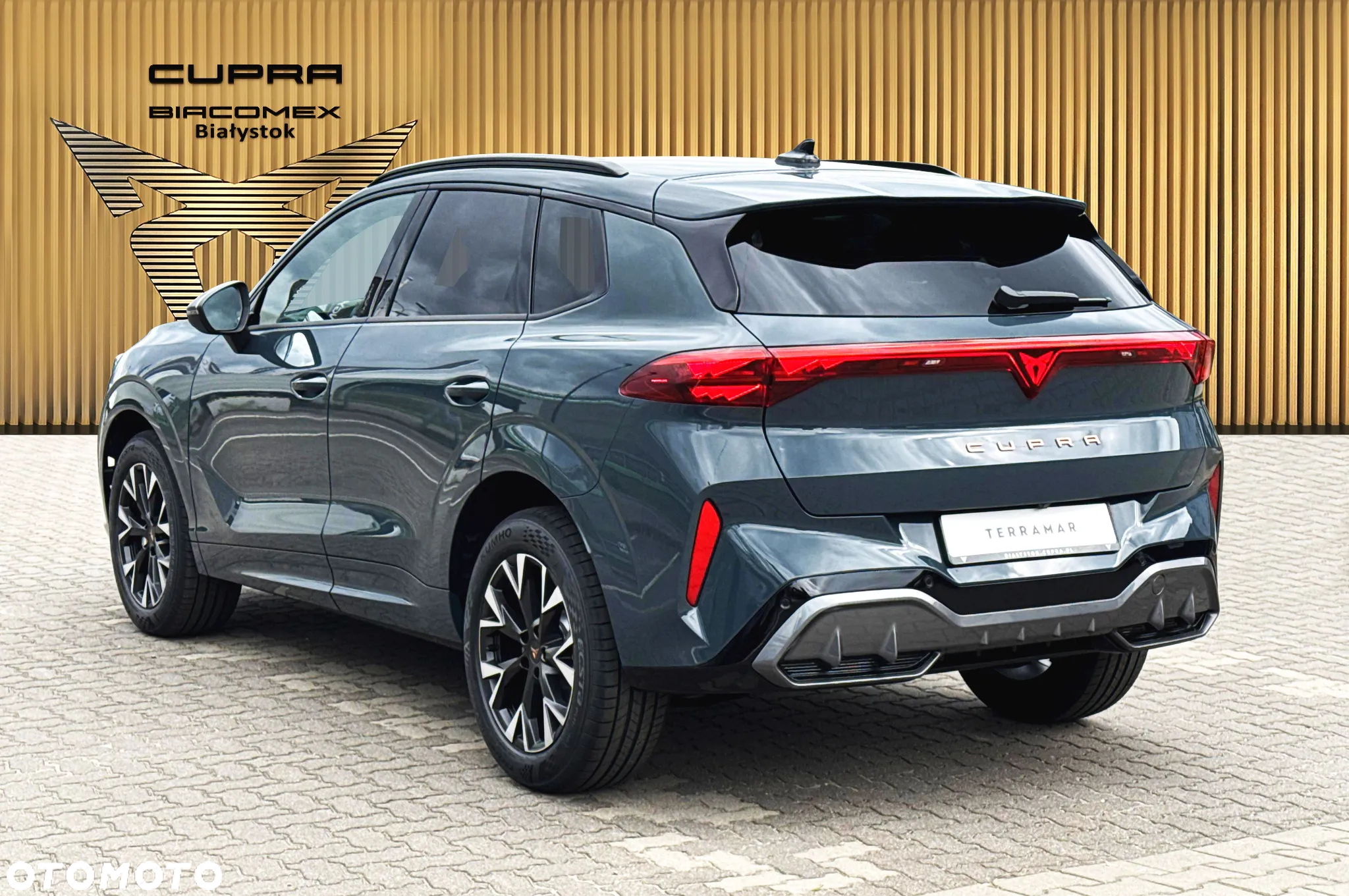 Cupra Terramar - 4