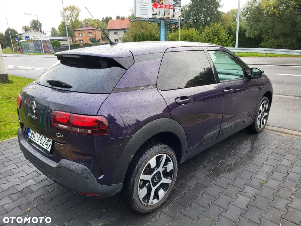 Citroën C4 Cactus 1.2 PureTech GPF Shine S&S - 6