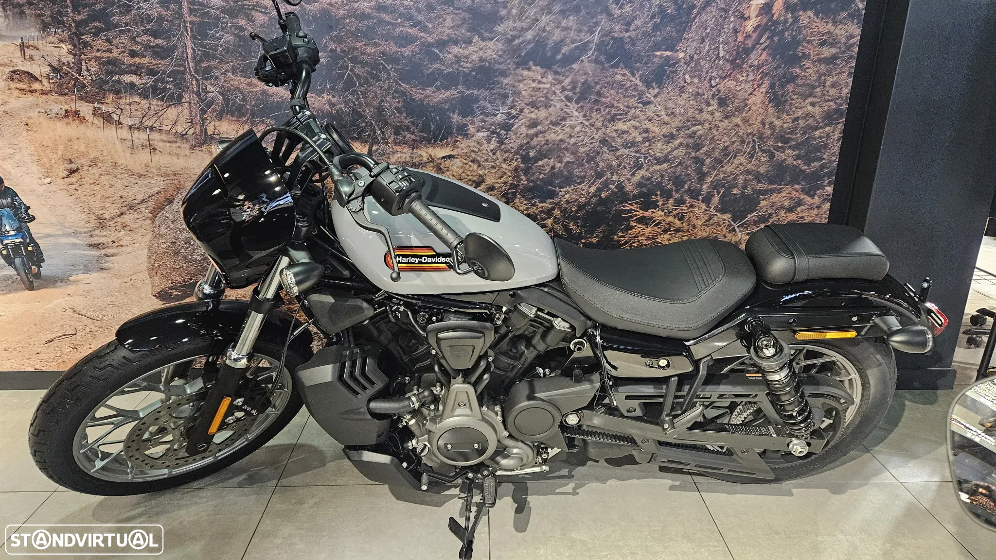 Harley-Davidson Sportster Nightster Special - 12
