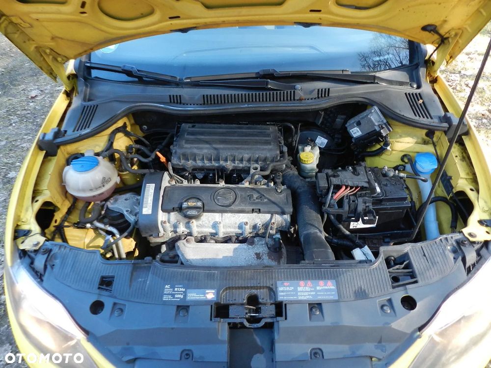 Seat Ibiza - 20