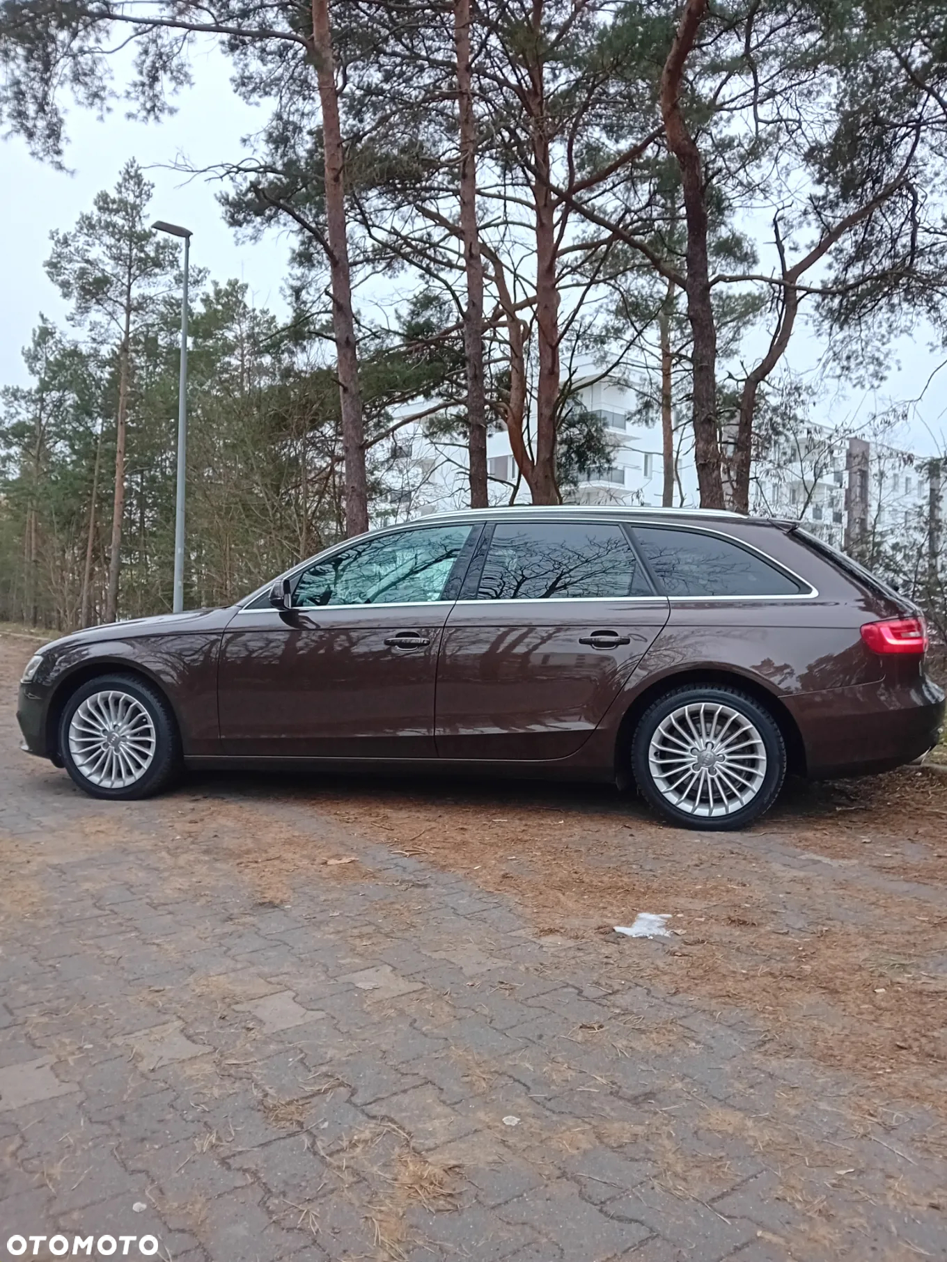 Audi A4 3.0 TDI Multitronic - 4