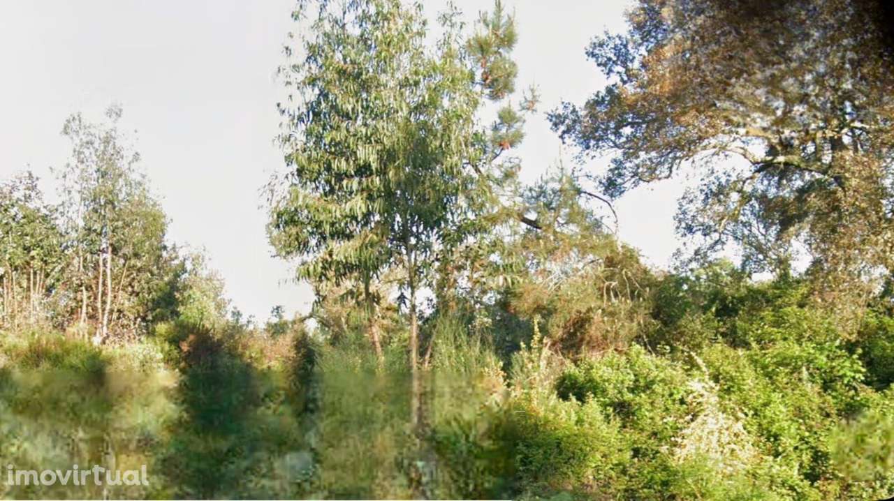 TERRENO RUSTICO 21 360M2 - SANTAREM - Grande imagem: 3/7