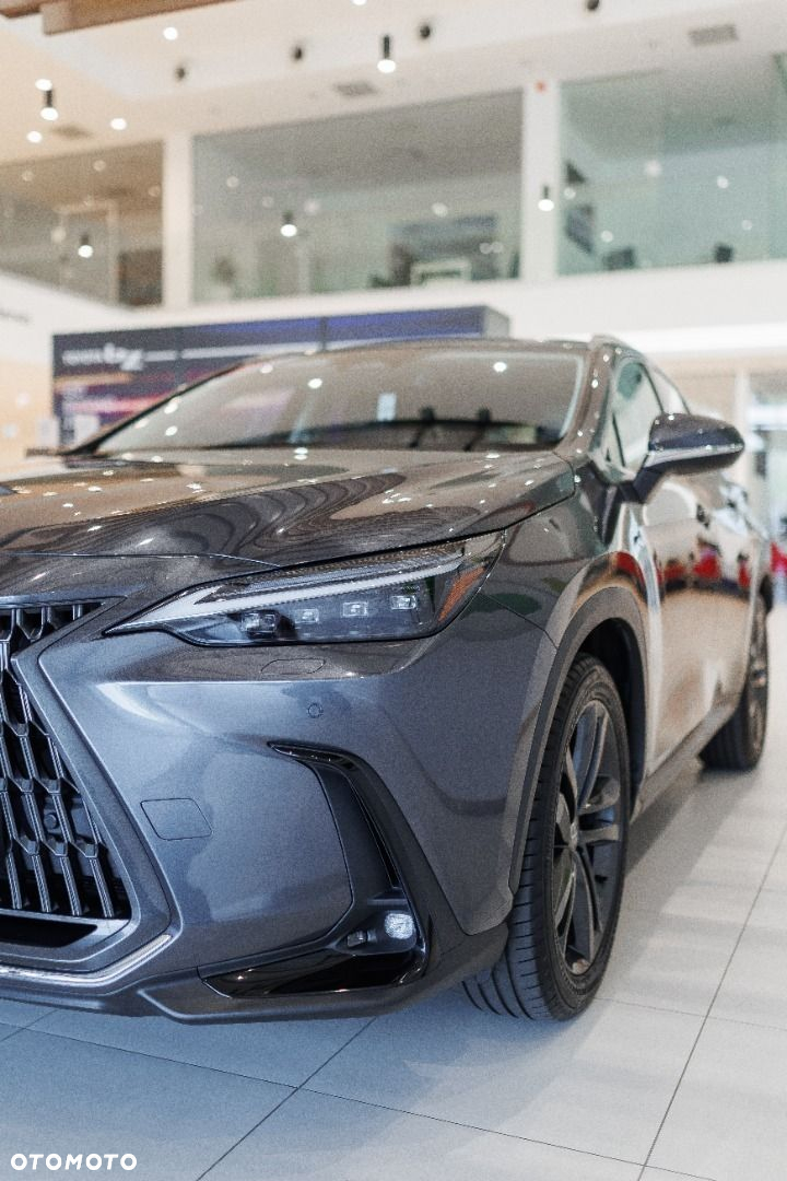 Lexus NX - 11