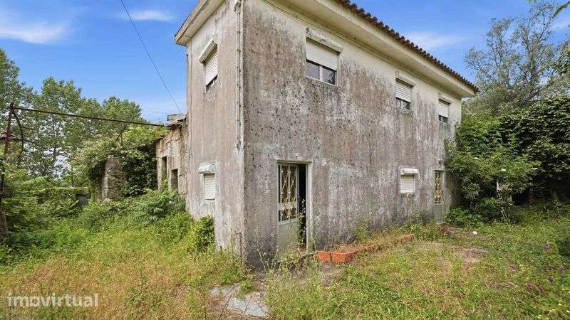Duas casas em ruina com amplo terreno  todo murado. - Grande imagem: 5/12