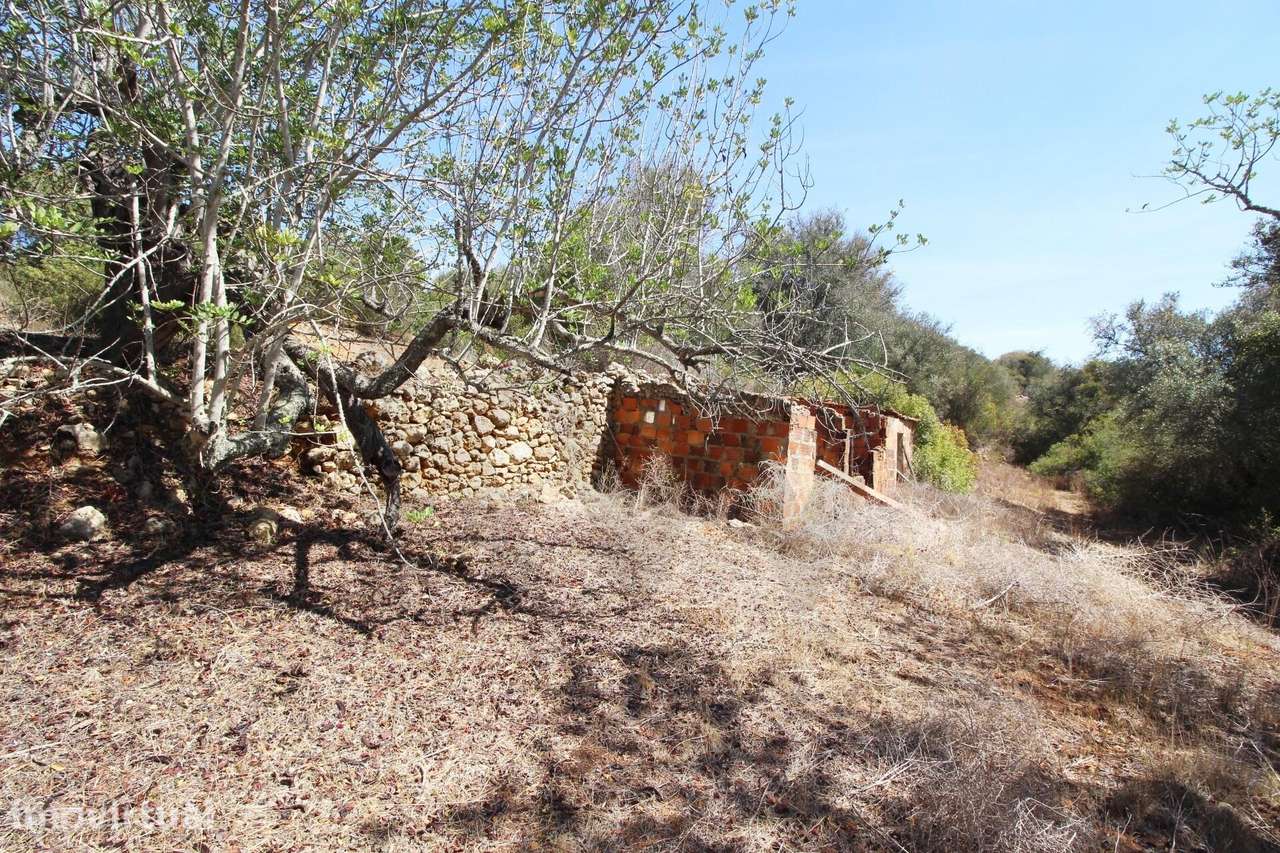TERRENO COM RUÍNA, VALE DE MARGEM, PÊRA, SILVES - Grande imagem: 4/30