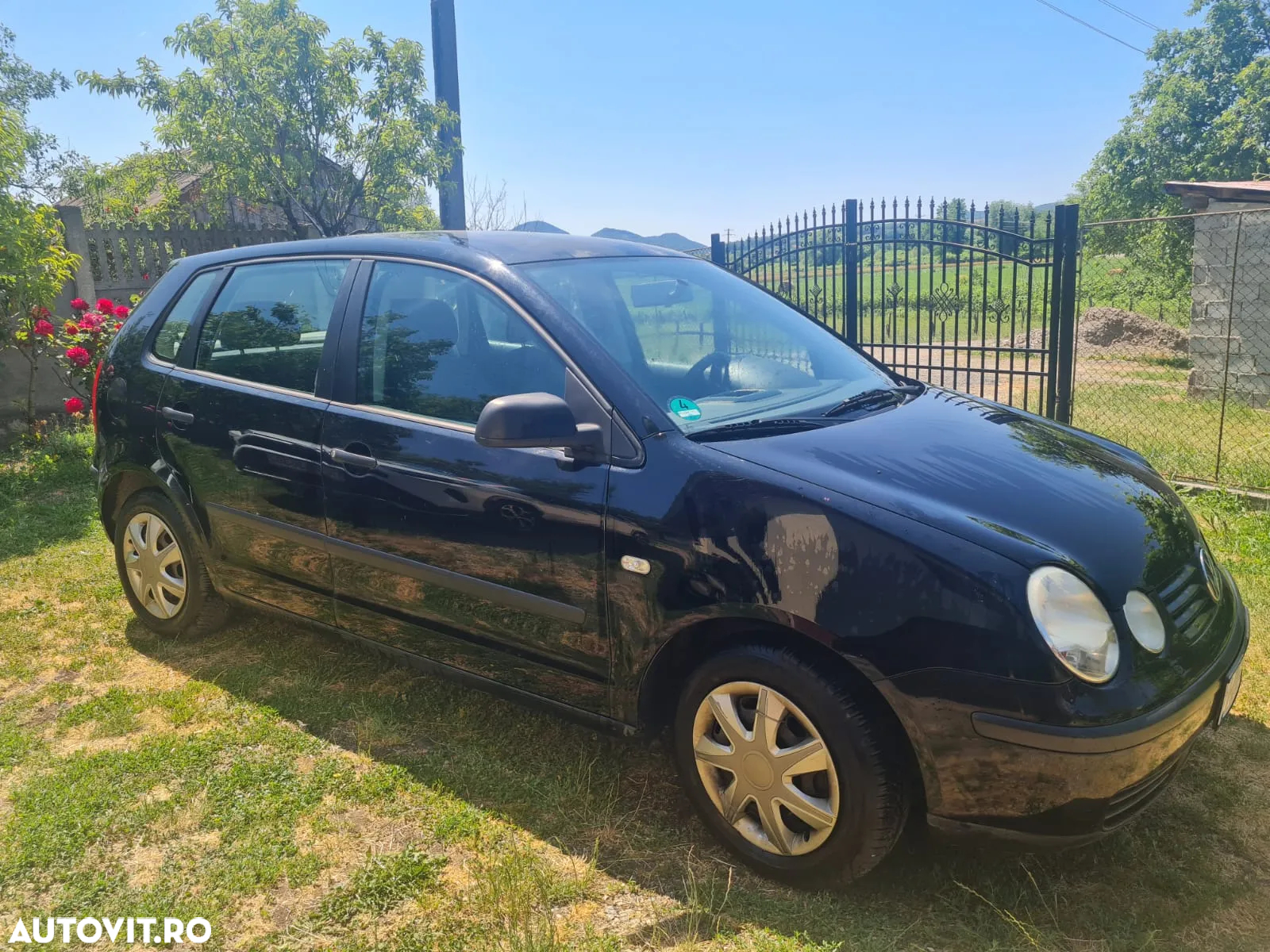 Volkswagen Polo - 3