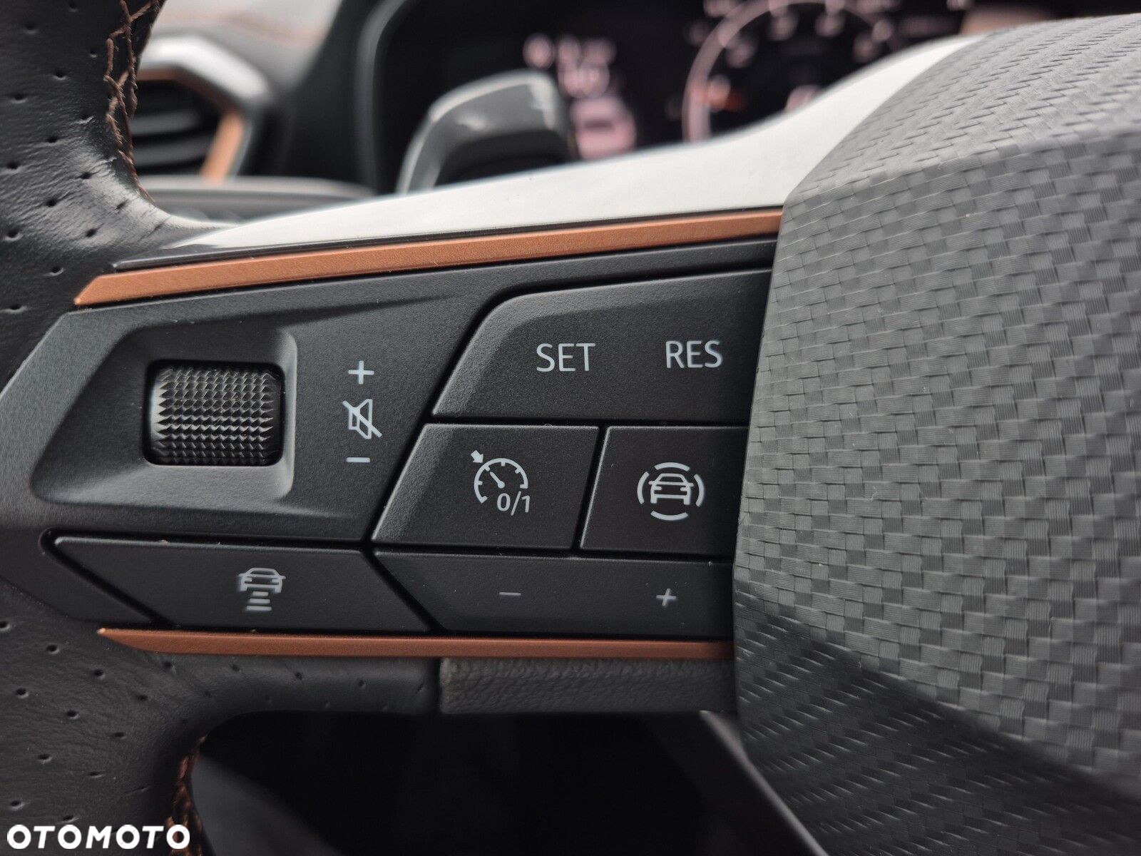Cupra Formentor 1.5 TSI DSG - 26
