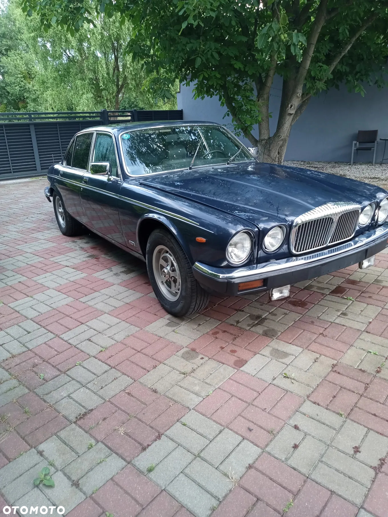 Jaguar Daimler Double Six 5.3i - 2