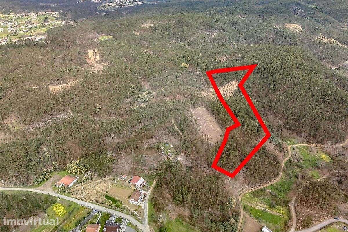 Terreno  para venda - Vista 6