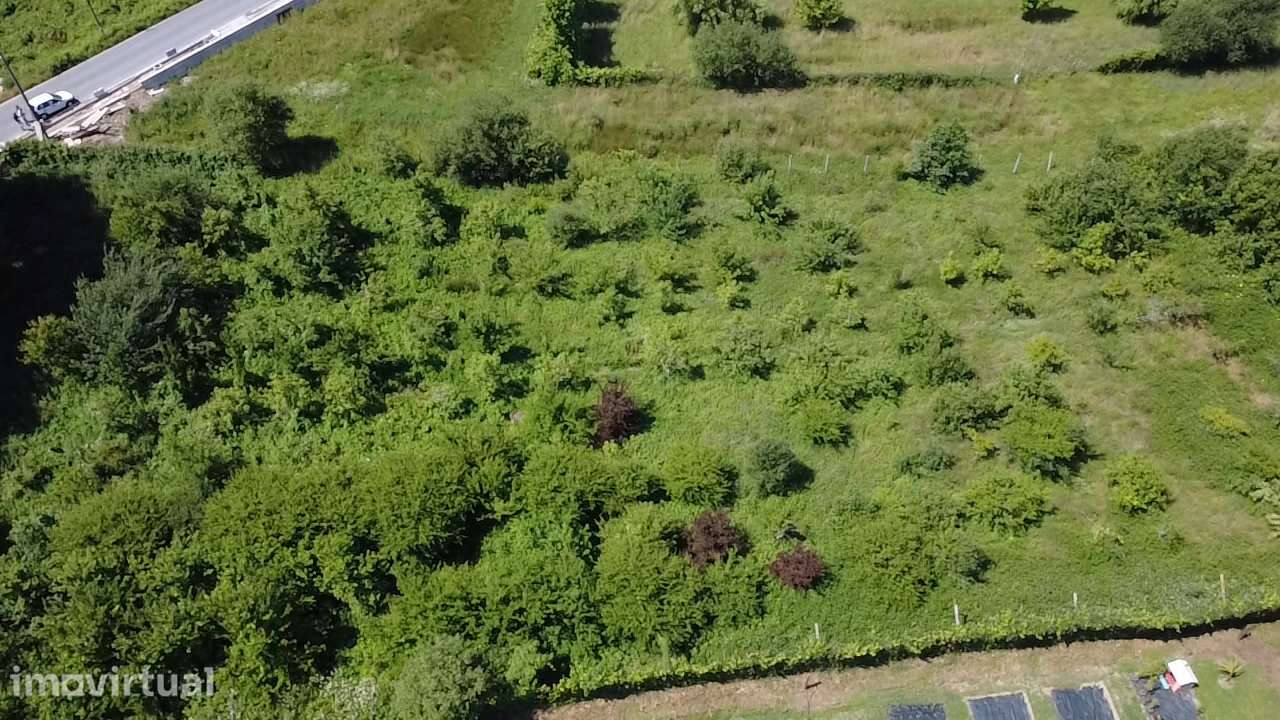 Terreno Rústico  Venda em Carvalhais e Candal,São Pedro do Sul - Grande imagem: 2/9