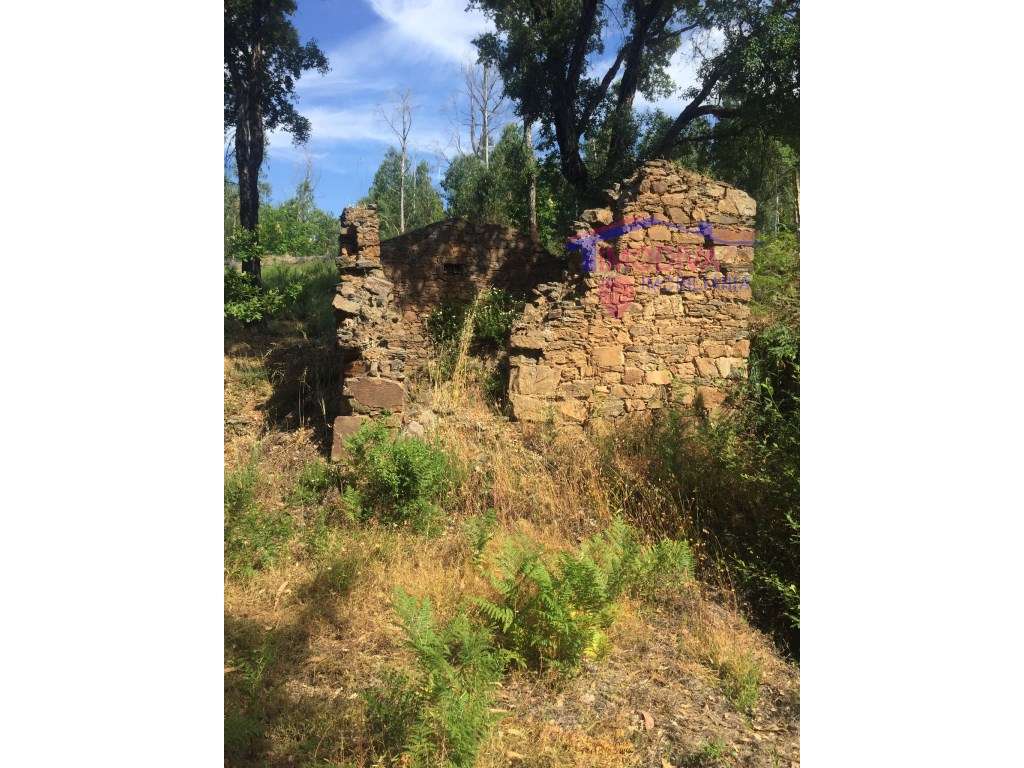 Casa de campo para reconstruir - Grande imagem: 3/18