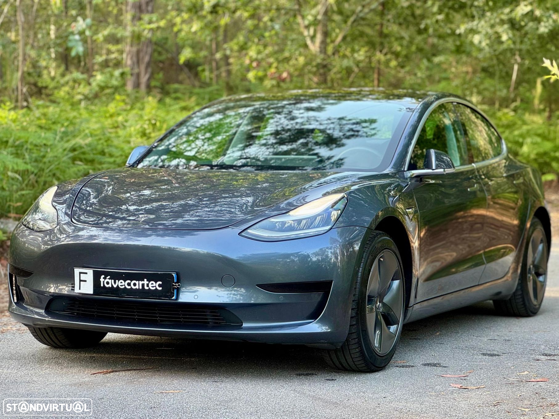 Tesla Model 3 Standard Range Plus RWD - 24