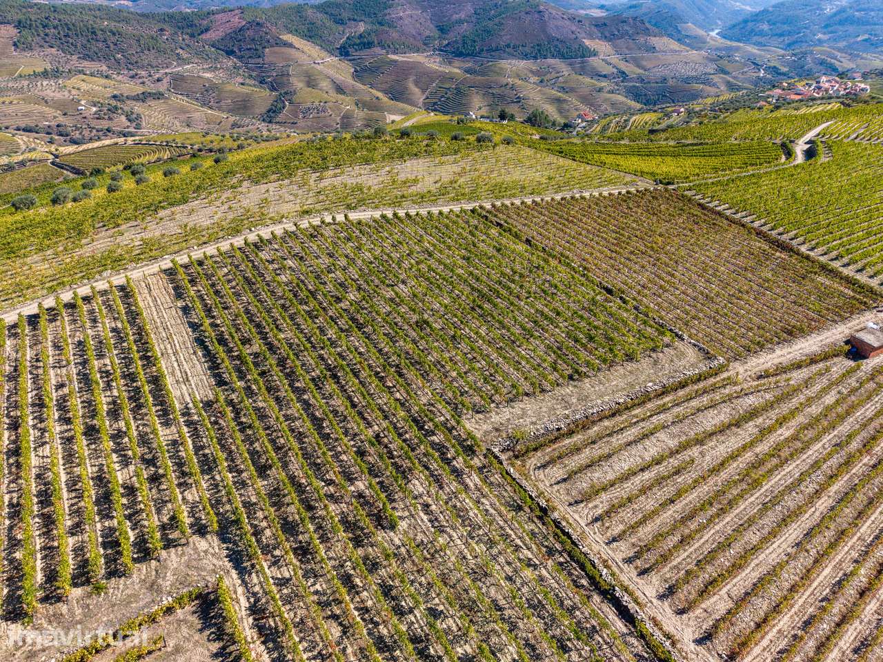 VINHA À VENDA EM MURÇA – REGIÃO DEMARCADA DO DOURO - Grande imagem: 2/23