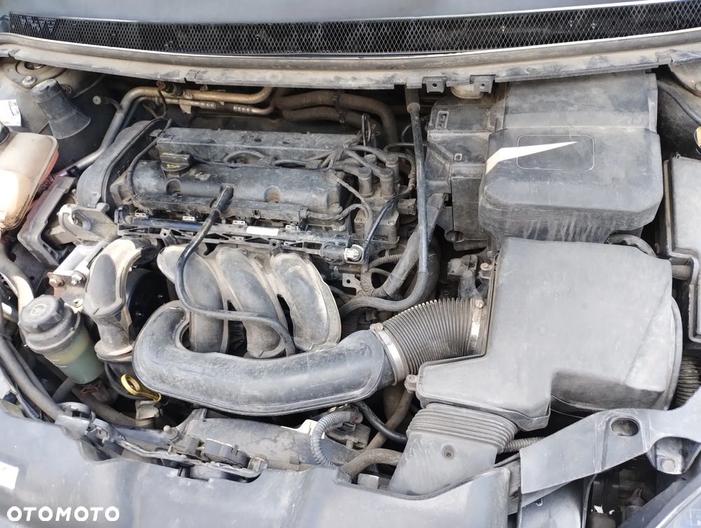 Ford Focus 1.6 Gold X EU5 - 7
