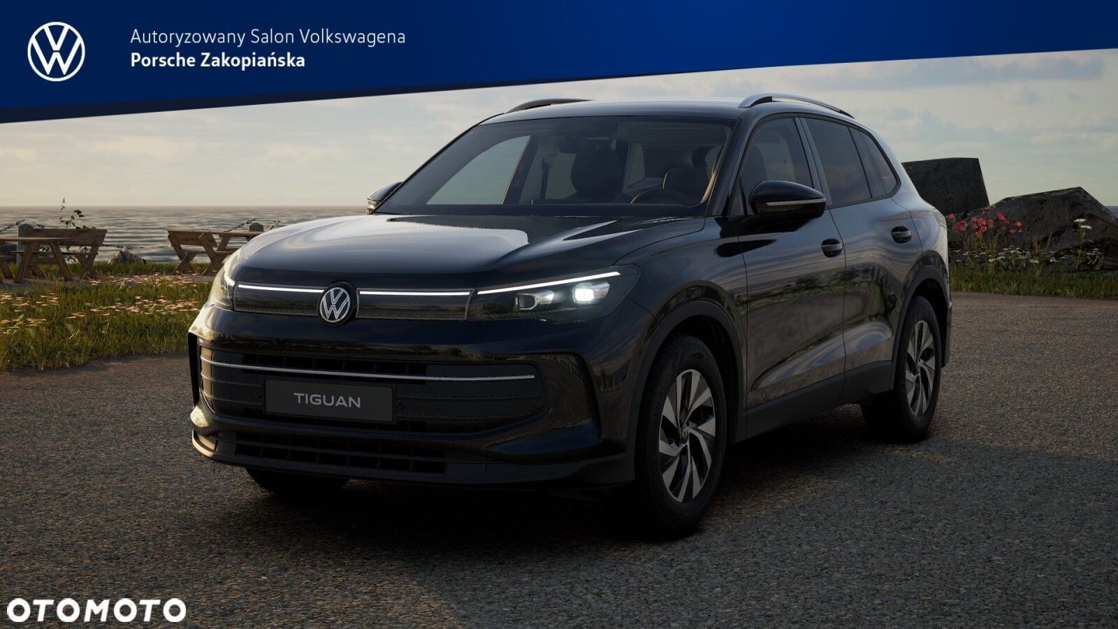 Volkswagen Tiguan - 1