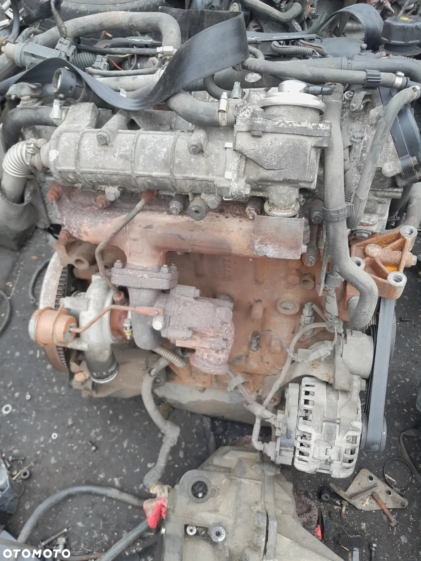 Silnik kompletny Fiat Ducato 3.0 JTD 09r - 4