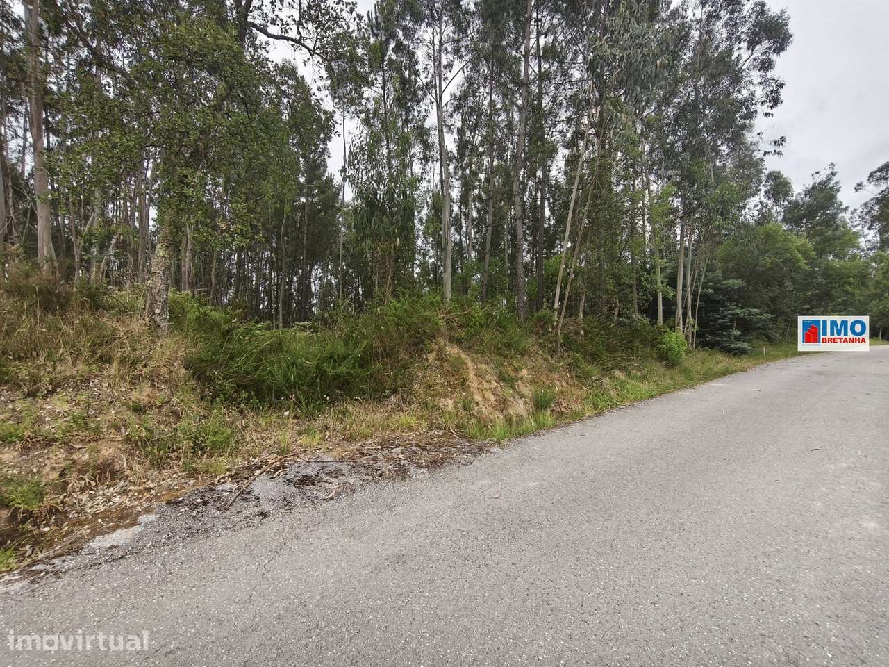 Terreno c/ possibilidade de Construção | 2542 m² | Vila Nova de Poiare - Grande imagem: 4/5
