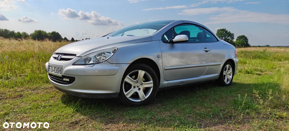 Peugeot 307 - 8